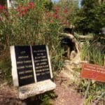 Signs on the Mount of Beatitudes