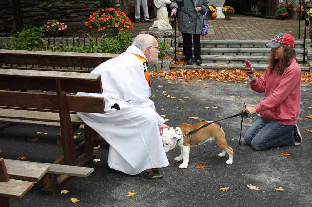 The annual blessing of the animals